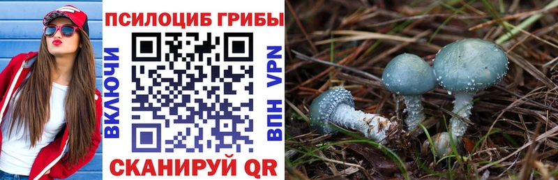 Купить  Верхняя Тура  Псилоцибиновые грибы GOLDEN TEACHER 